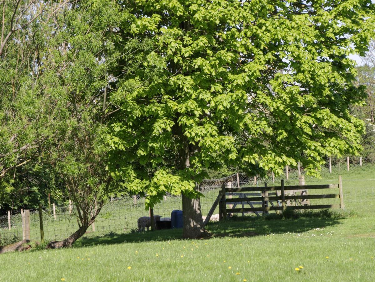 Goathland Cottage ويتبي المظهر الخارجي الصورة