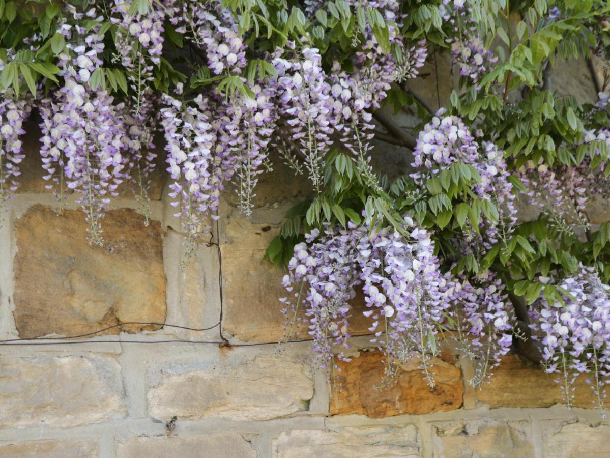 Goathland Cottage ويتبي المظهر الخارجي الصورة